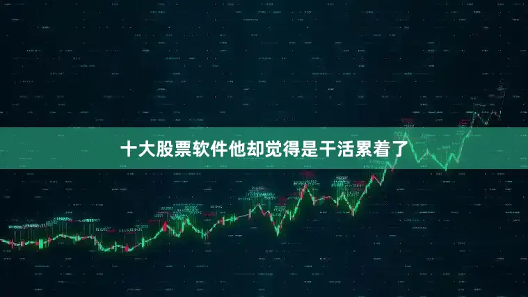 十大股票软件他却觉得是干活累着了