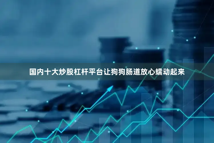 国内十大炒股杠杆平台让狗狗肠道放心蠕动起来