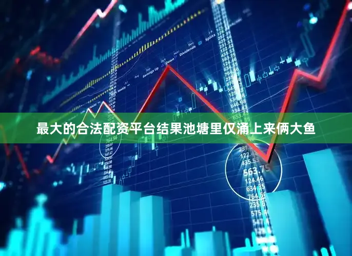 最大的合法配资平台结果池塘里仅涌上来俩大鱼